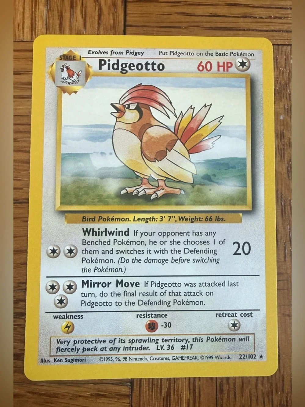 Pokemon Pidgey, Pidgeotto, Pidgeot Base Set Cards